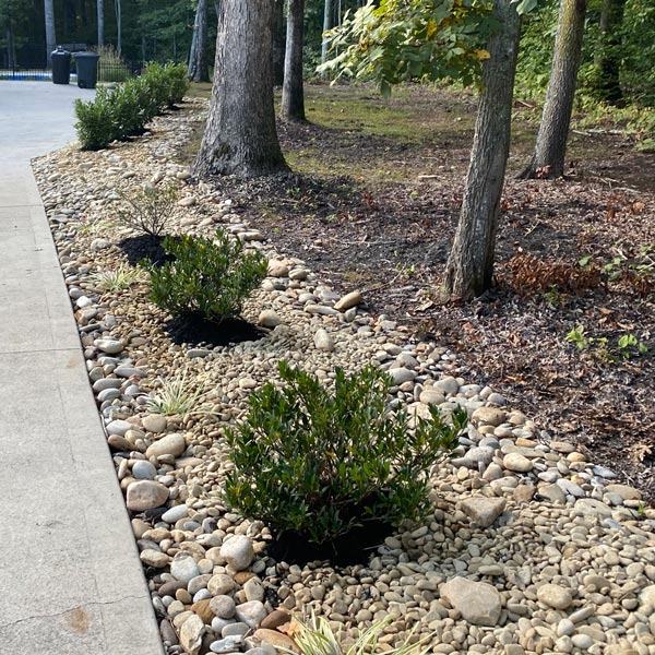 gravel ground cover